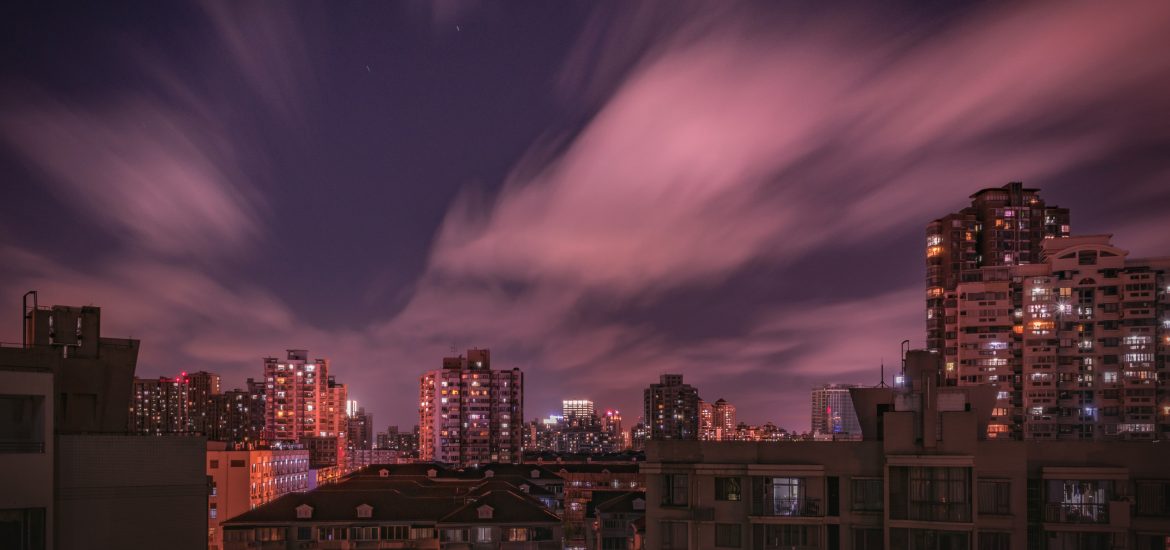 Niccolò Ammaniti, Anna